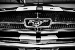 Shelby Mustang GT350 emblem