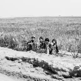 Black and white image of four children sitting by the edge of a field in Helmand, Afghanistan