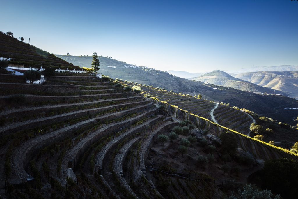 Landscape photography of the steeps of Quinta do Noval port house in the Duoro Valley, Portugal, by photographer Andy Barnham