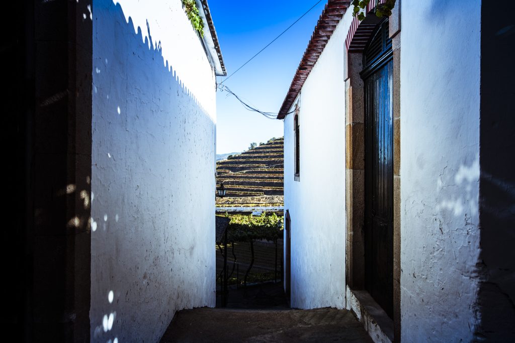 Landscape photography of Quinta do Noval port house vineyard through the buildings of the manor house in the Duoro Valley, Portugal, by photographer Andy Barnham