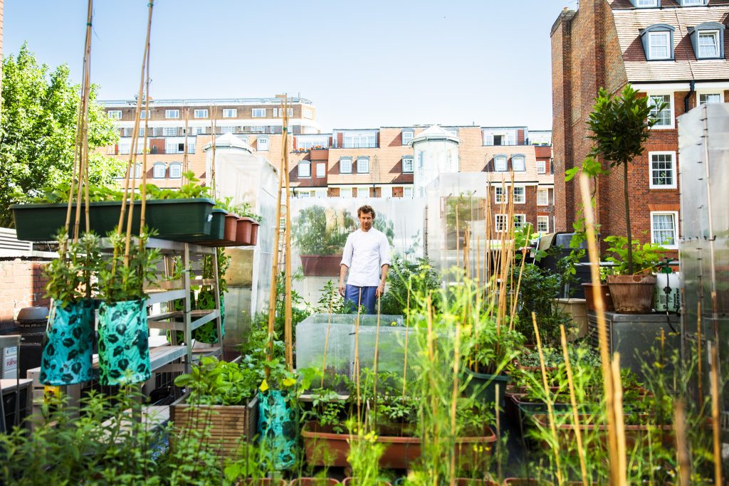 Wide angle lifestyle portrait of a English Michelin-starred chef Tom Aikens standing on a rooftop garden with apartment blocks in background by portrait photographer Andy Barnham